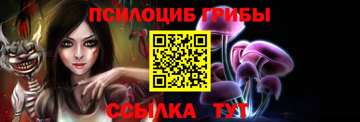 где продают наркотики  Вход с VPN  Златоуст  Псилоцибиновые грибы Cubensis 